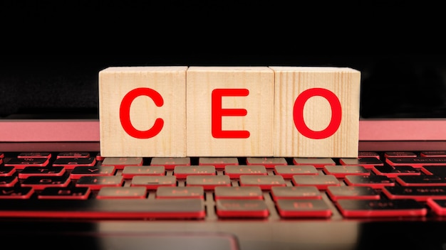 Ceo text on wooden cubes business concept