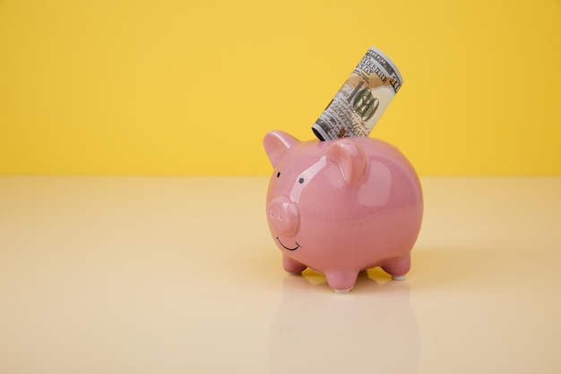 Ceramic piggy bank with dollar banknote into her Investment concept