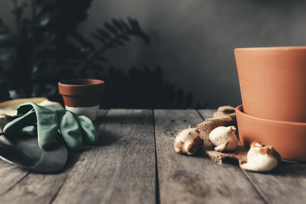 Ceramic pots on old gray wooden table, tulip bulbs, green gloves, garden shovel. High quality photo