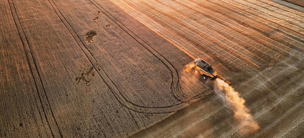 Cereal harvest harvester harvests in the field