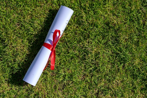 Certificate of graduates placed on green leaves.