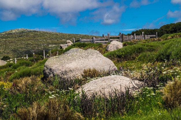 Cevennes national park