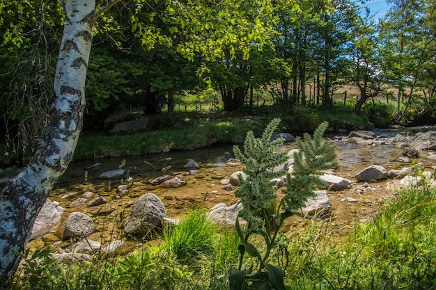 Cevennes national park