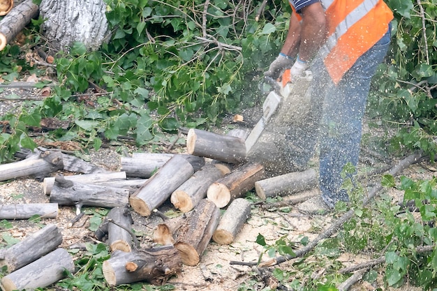 Chainsaw that stands on a heap of firewood in the yard on a beautiful background of green grass