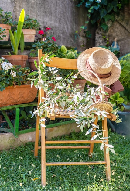 Chair in the garden Hat basket with olive brunches warm sunny day