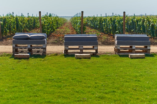 Chair of pallets on the vineyard lawn