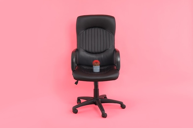 Chair with cactus on pink background. Hemorrhoids concept