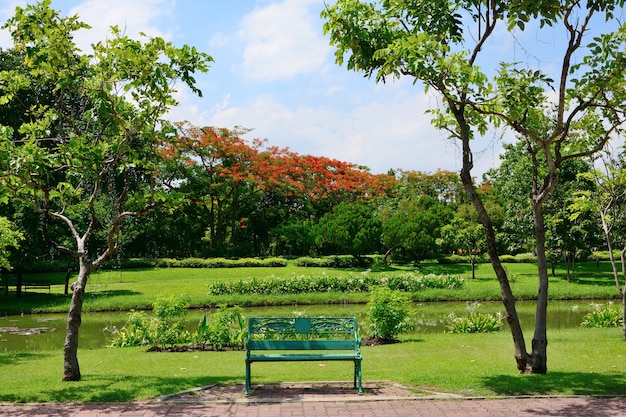 Chairs for resting in the public park have trees and sky as the background.