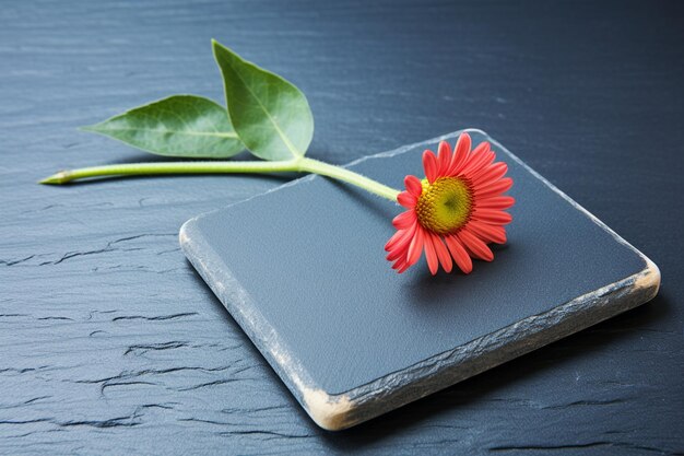 Photo chalkboard and small flower