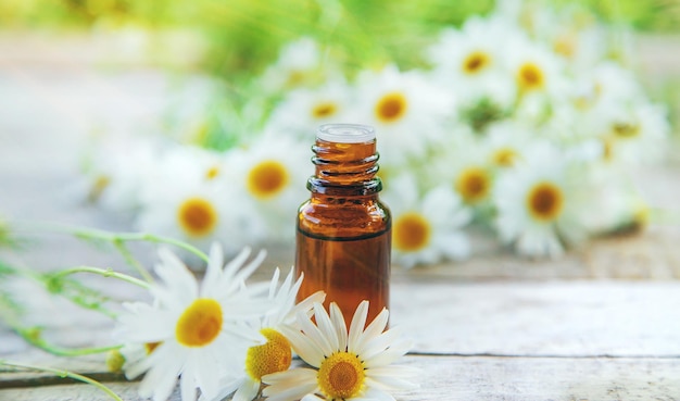 Chamomile essential oil in a small bottle. Selective focus. Nature.