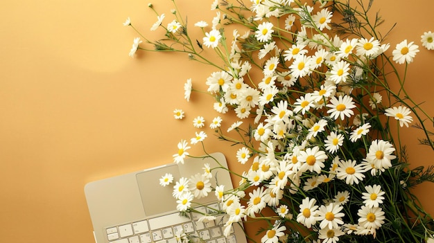 Photo chamomile flowers bouquet on neutral laptop notebook