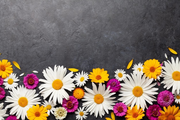 Photo chamomile garden flowers on stone background