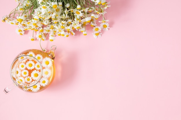 Chamomile herbal tea Camomile flowers in glass teapot on pink background Flat lay