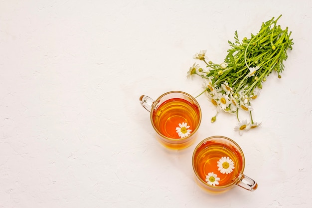 Chamomile tea. Fresh flowers, summer hot drink concept. Alternative medicine, lifestyle