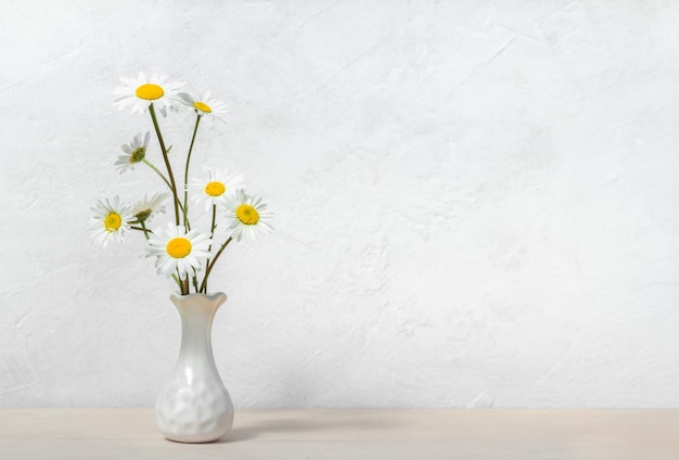 Chamomile in vase on white background flowers