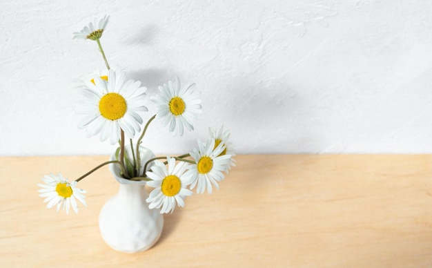 Chamomile in vase on white background flowers