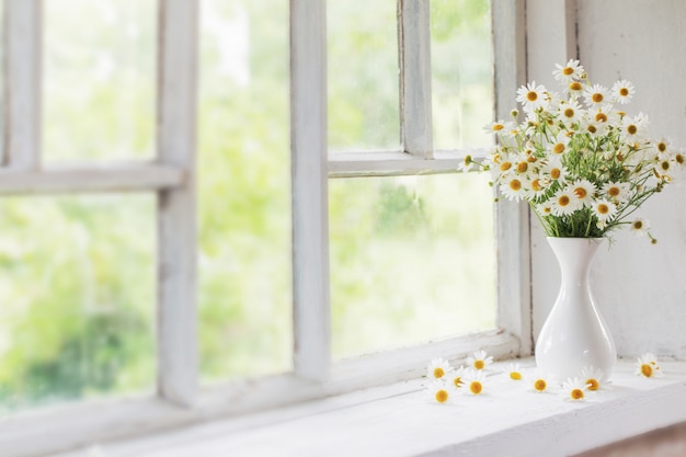 Chamomile in vase on windowsill