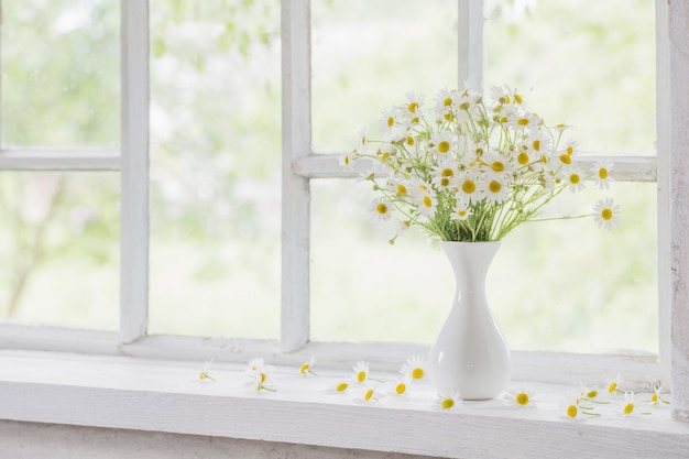 Chamomile in vase on windowsill