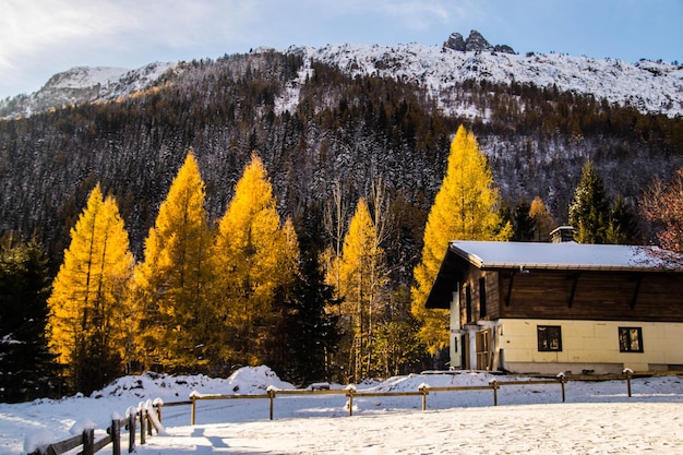 Chamonixhaute savoiefrance