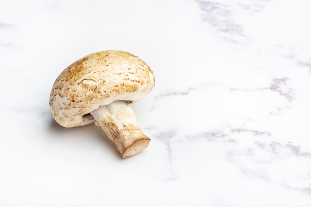 A champignon on a gray and white marble kitchen countertop in a top view