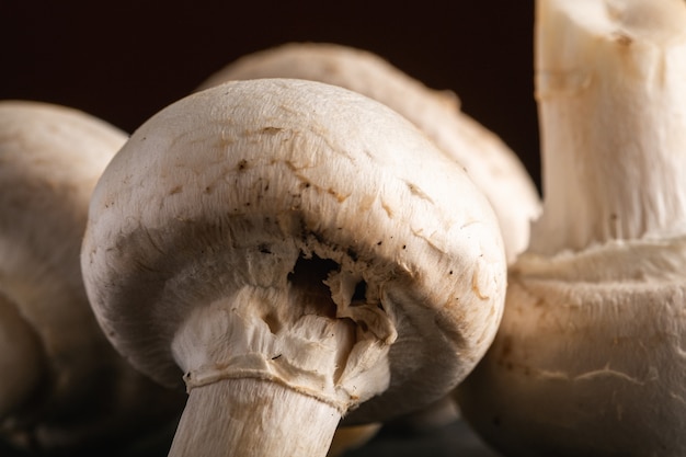 Champignon mushrooms healthy food on dark black textured wall, macro