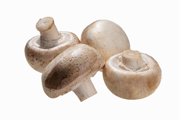 Champignon mushrooms on white