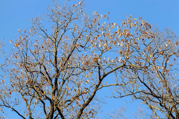 Changes in nature during the autumn season