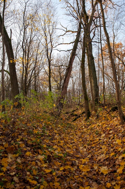 Changes in nature during the autumn season