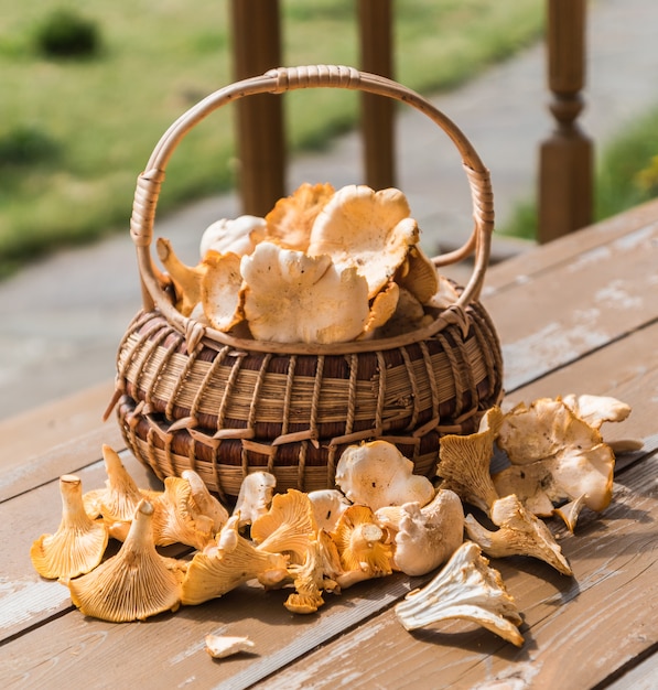 Chanterelle mushrooms in a basket