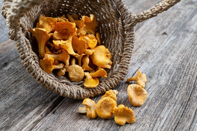 Chanterelle mushrooms on wooden background