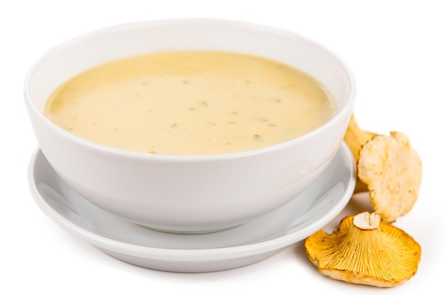 Chanterelle Soup isolated on white background