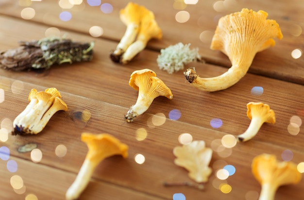 chanterelles on wooden background