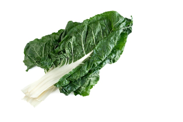 Chard leaf on white background