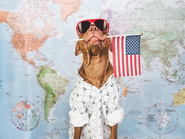 Charming brown puppy sun hat and American flag