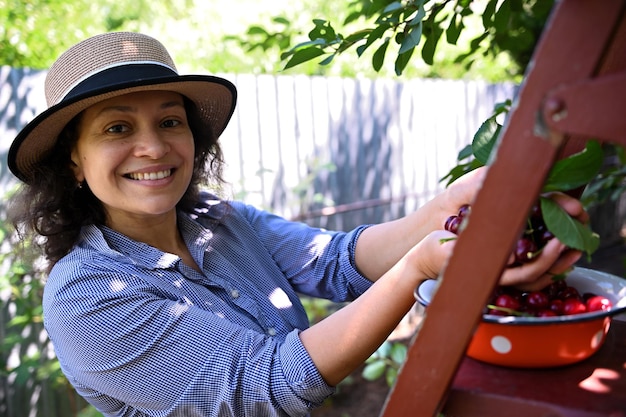 Charming female farmer in straw hat smiles looking at camera while picking ripe cherry harvest in rural garden