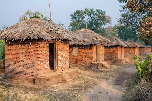 Charming huts in remote Panna India made of bricks and straw roofs