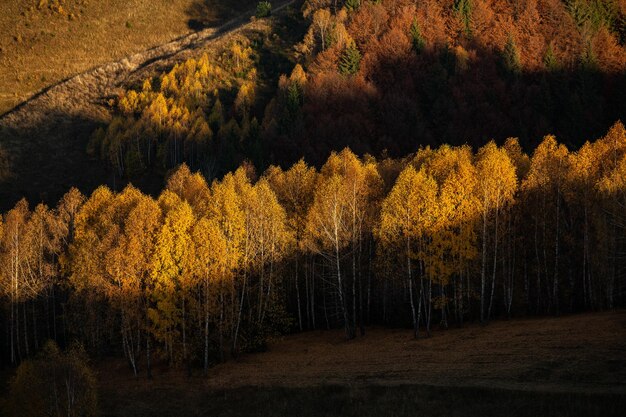 A charming mountain landscape in the Bucegi mountains, Carpathians, Romania