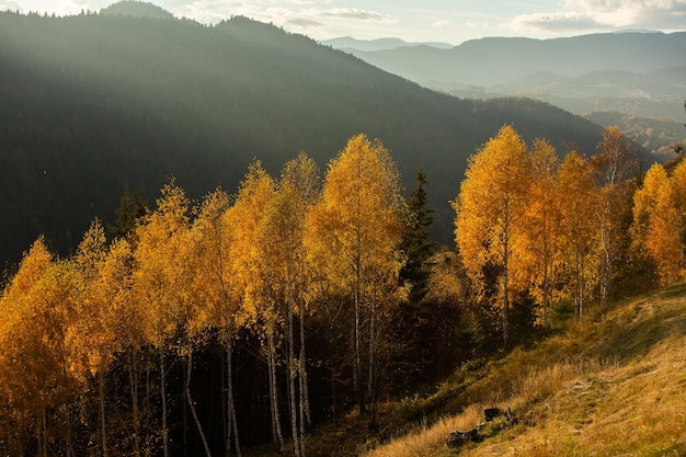 A charming mountain landscape in the Bucegi mountains, Carpathians, Romania