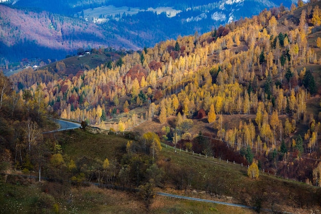 A charming mountain landscape in Carpathians, Romania