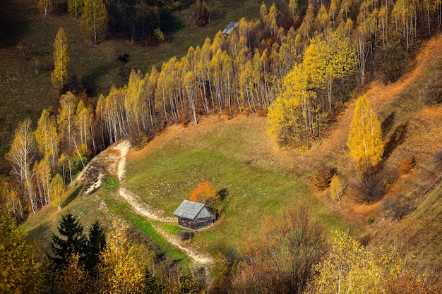 A charming mountain landscape in Carpathians, Romania.