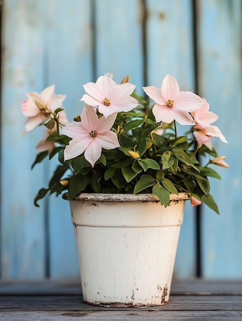 Photo charming pink flowers in rustic pot against blue wooden background