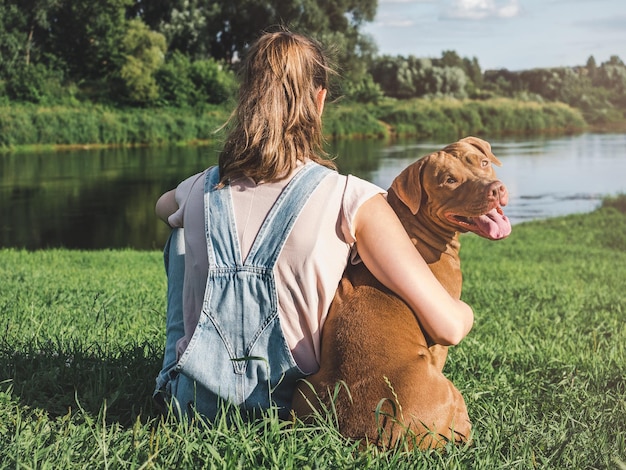 Charming pretty brown puppy and woman Closeup