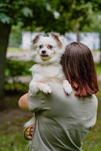 A charming white fluffy dog with pigeon eyes sits in a woman's arms while walking on a summer day Unrecognizable girl hugs her dog