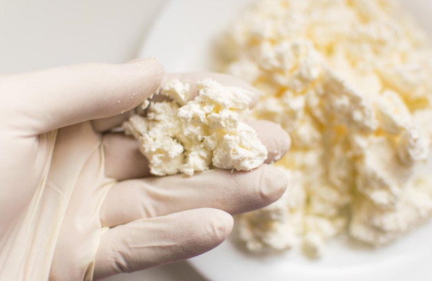 Checking the cottage cheese A hand in a rubber glove holds cottage cheese Study of the content of harmful substances