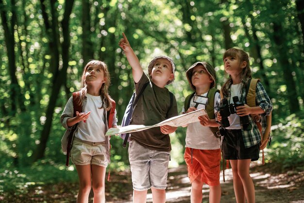 Photo checking the way on the map kids in forest at summer daytime together