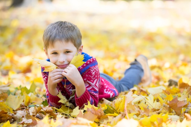 Cheerful beautiful child with autumn maple leaves The boy lies on the yellow leaves