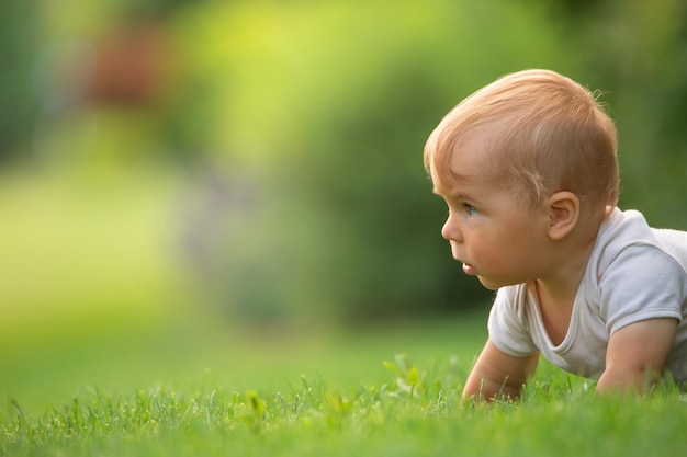 A cheerful and happy little boy is sitting on a green lawn