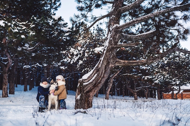 Cheerful little boy and girl are standing with their big dog in the forest