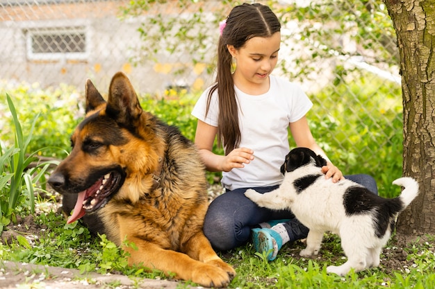 Cheerful little girl with a dog German shepherd.