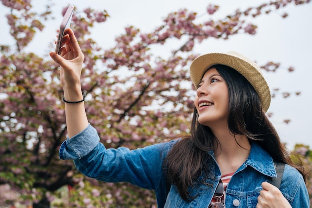 cheerful traveler standing next to the sakura tree and taking photo by cellphone app. young asian tourist joyfully using smart phone beside cherry tree. girl backpacker recording travel life in osaka